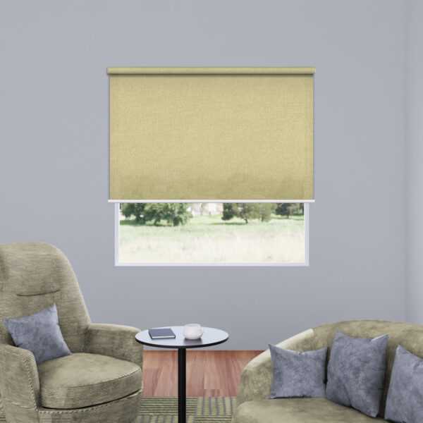 Translucent Roller Blinds Peach