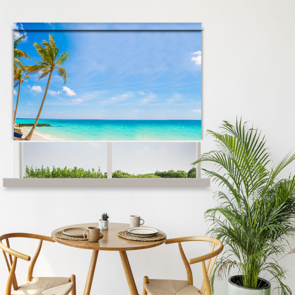 Beach Scenic Blinds